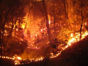 Boulder Creek Fire by https://www.flickr.com/photos/hllewellyn/