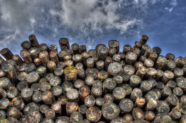 logs photo