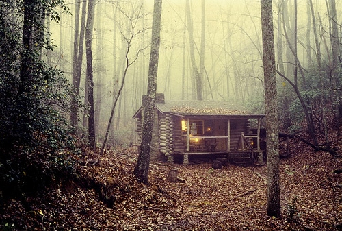 log cabin photo