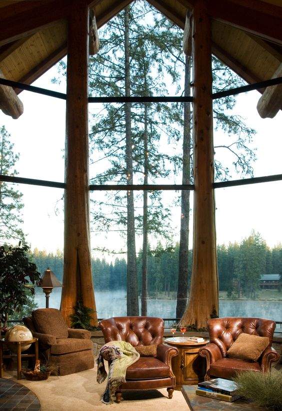 Tree Trunk Window Frames