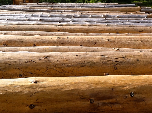 Logs photo
