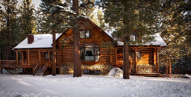 Photo by 12019 log cabin photo
