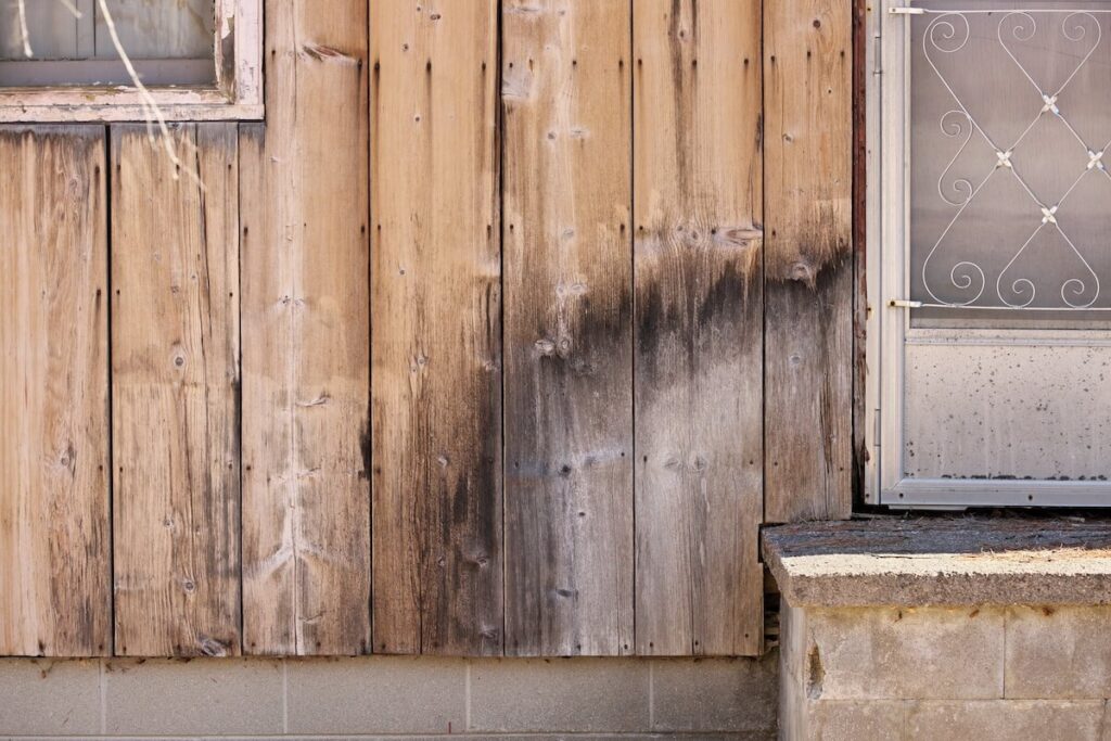 A closeup of a wet and rotting wood siding near a front door of a home