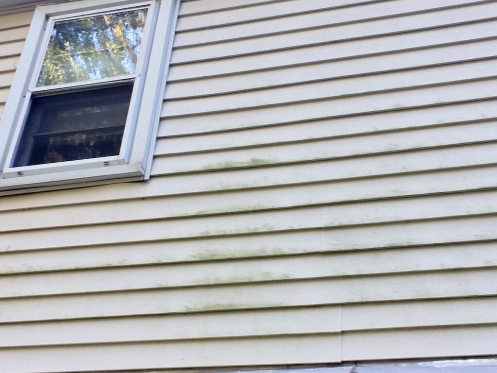 A closeup of a home with moldy vinyl siding, a sign that siding needs replacing