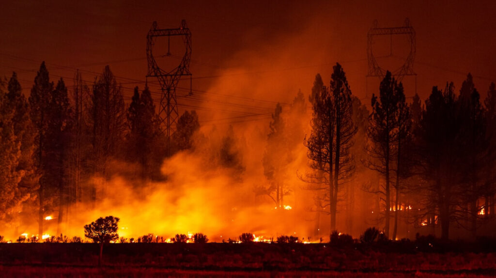 Smoke and flames from a wildfire in a residential area