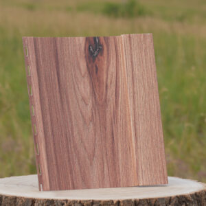 TruLogĀ® Steel Board & Batten Siding Sample
