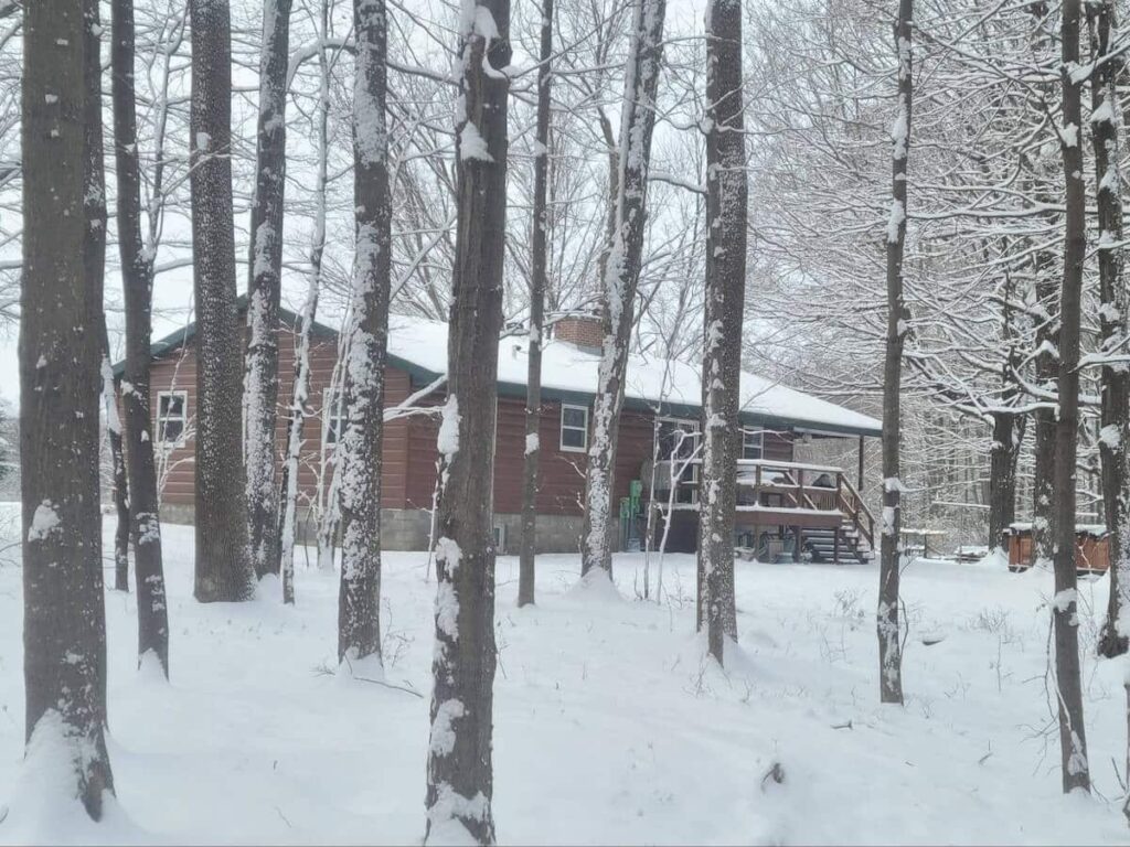 A home with TruLog steel siding surrounded by trees and snow