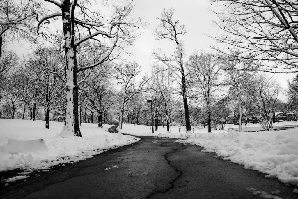 A cracked walkway surrounded by snow during the winter