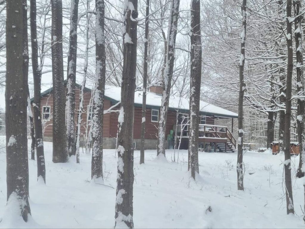 A snow-covered cabin in the woods with TruLog steel log siding