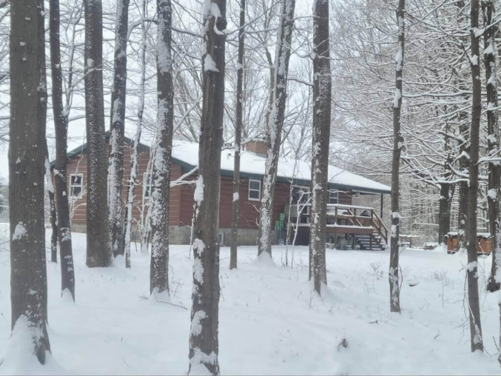 Home with brown TruLog siding surrounded by snow-covered trees.