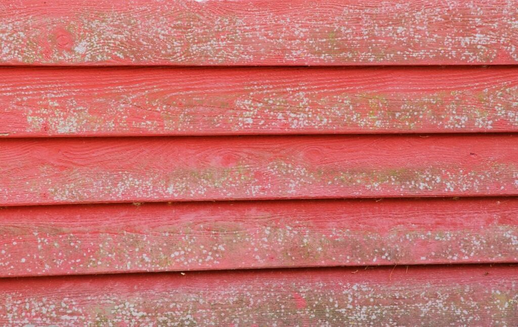 A closeup of a red siding covered in mold