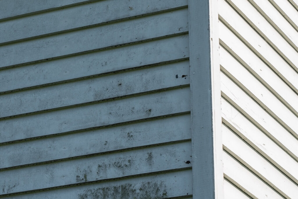 A closeup of wood siding covered in mold and mildew
