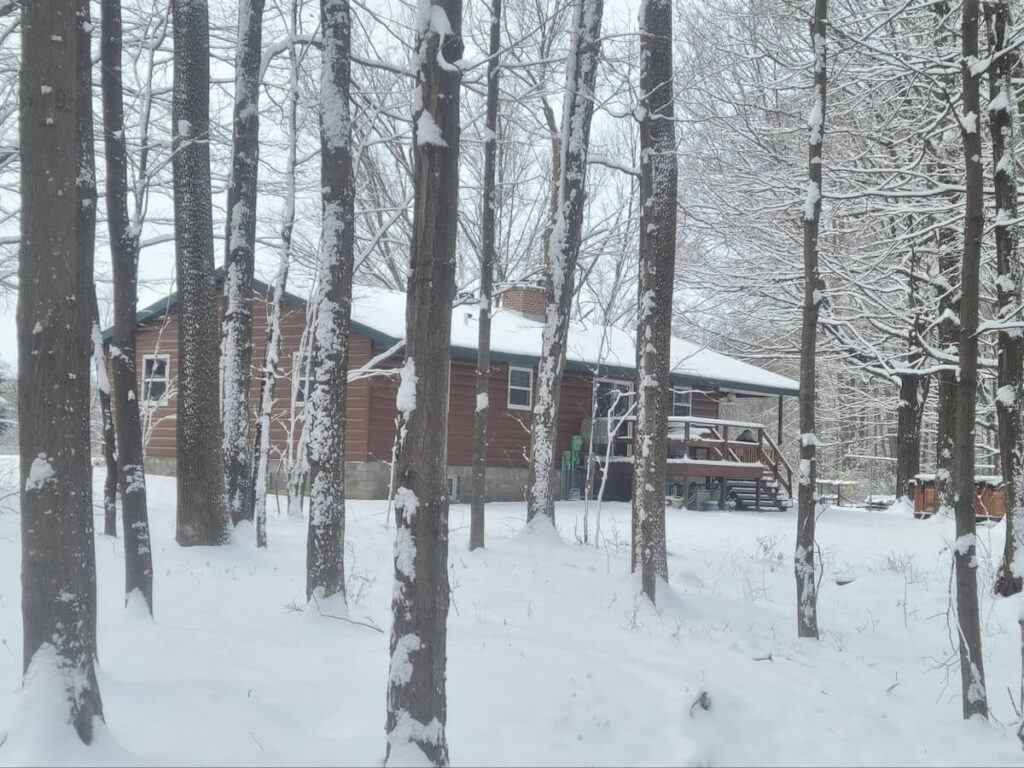 Single-story home with TruLog steel siding in a snowy wooded setting
